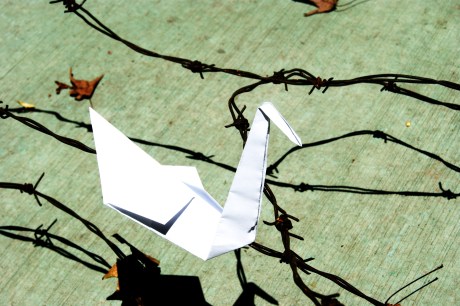 34.Origami Swan, by Claudio, 10. The boys had brought in an object they considered beautiful for the session on aperture. They had made 500 origami swans in aid of Japan.